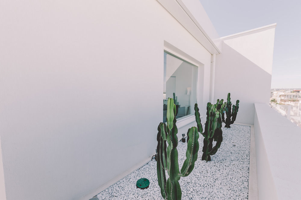 Suite 10 Home Design & Spa Polignano a Mare Exterior photo